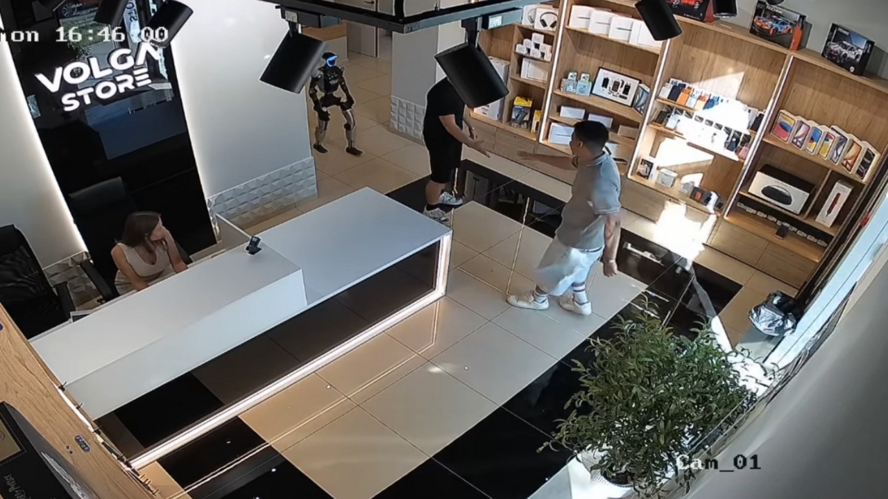 Video thumbnail for Robot Responds with Punches and Kicks After Being Pushed in Russian Store
