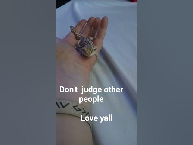 Video thumbnail for January 25, 2026