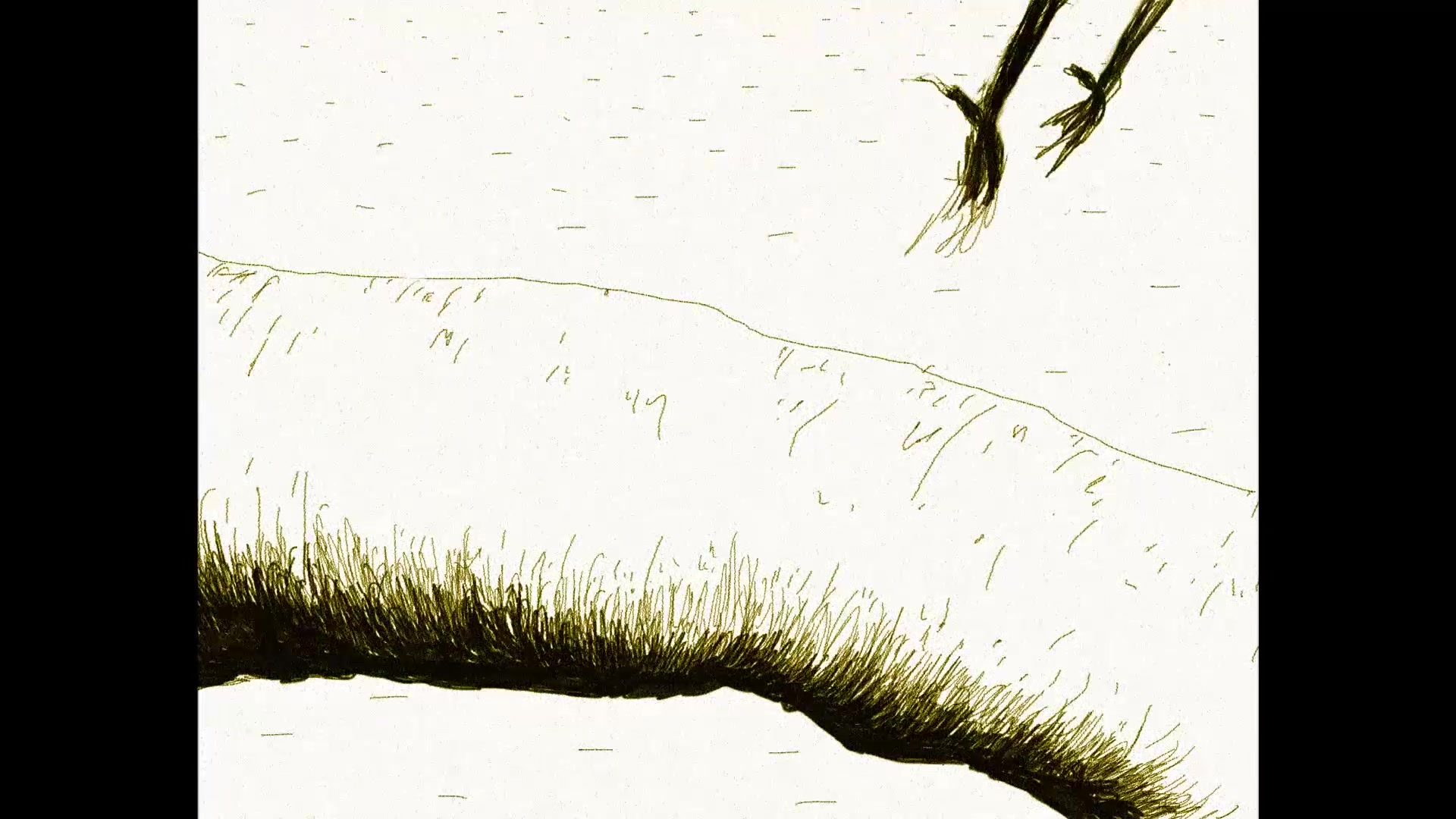 Video thumbnail for My Crow Don't know to fish - Trailer.mp4