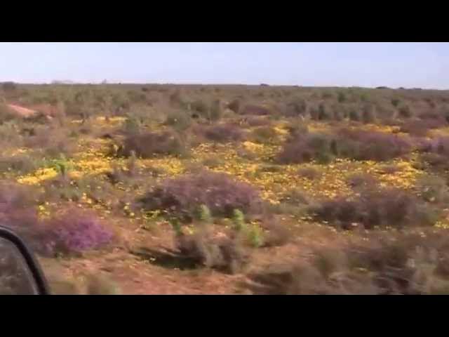 Video thumbnail for Namaqualand day 1
