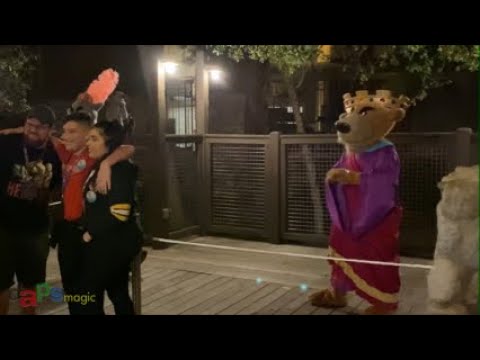 Video thumbnail for Prince John & Sheriff of Nottingham - Disneyland After Dark: Villains Nite