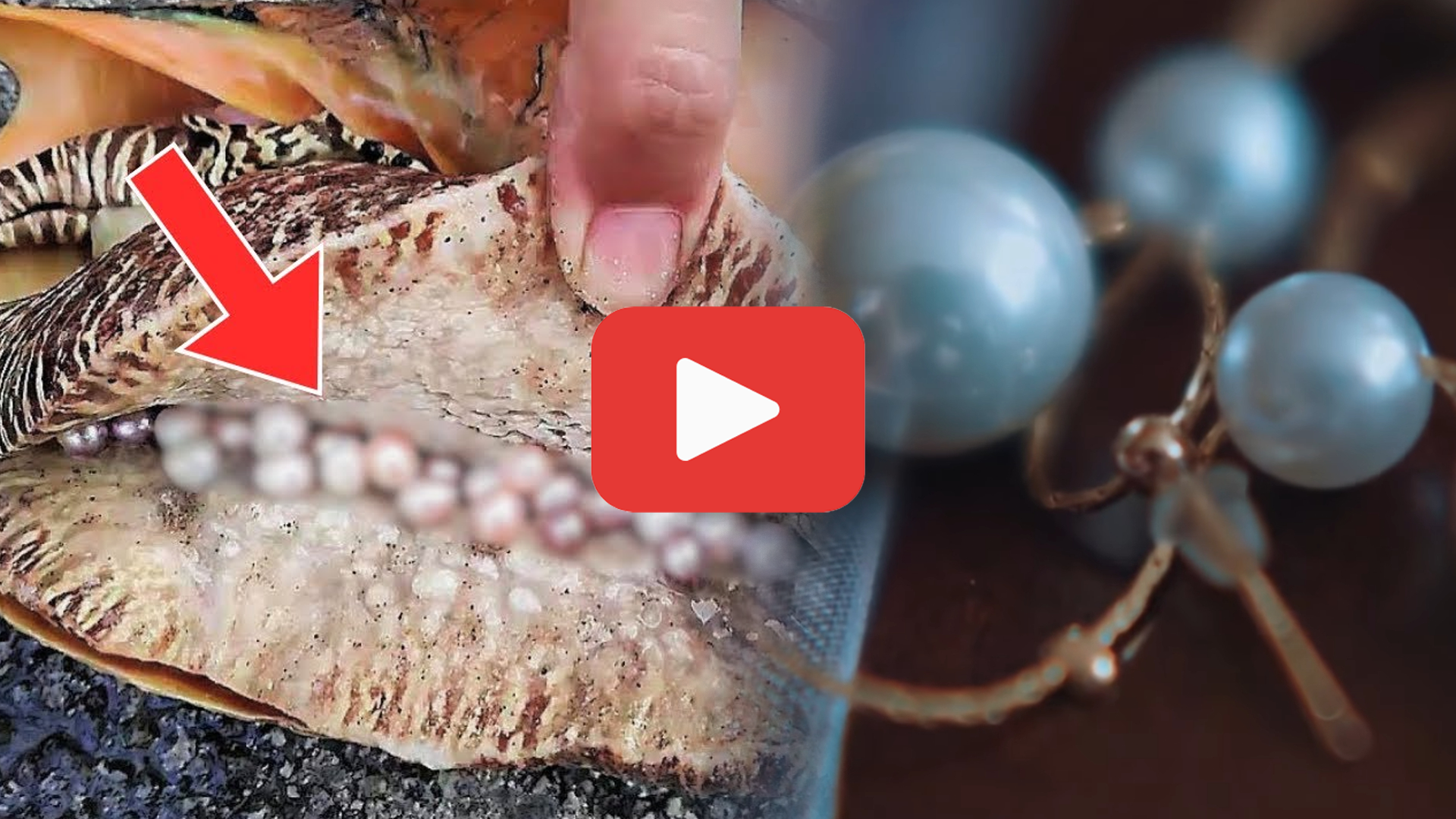Video thumbnail for Mom’s Fish Cleaning Routine Ends in a Jaw-Dropping Discovery