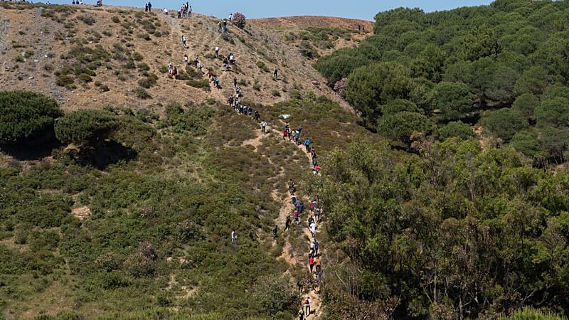Video thumbnail for Rare bird species thrives in Morocco after succesful breeding program