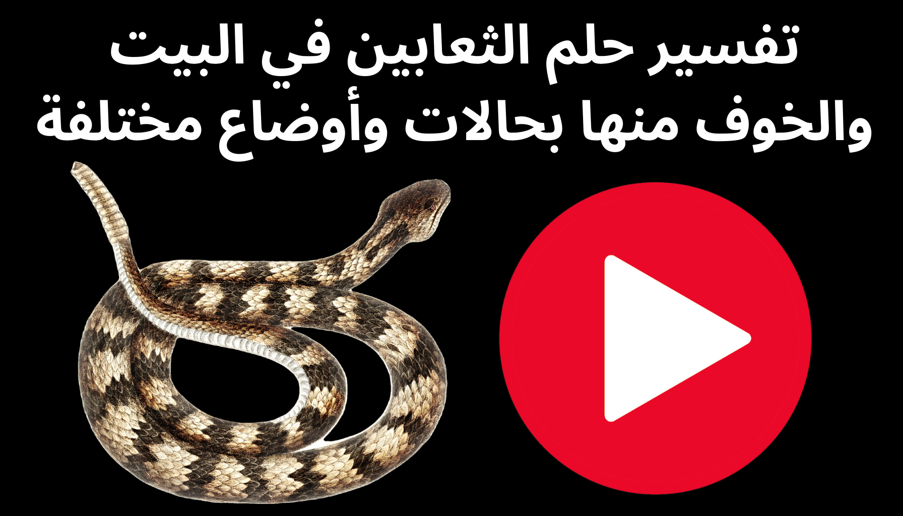 'Video thumbnail for تفسير حلم الثعابين في البيت والخوف منها بحالات وأوضاع مختلفة'