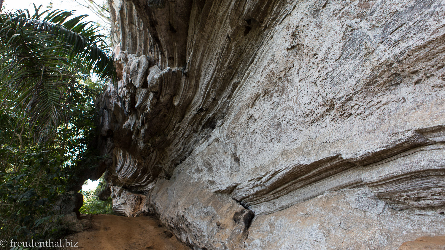 'Video thumbnail for Nationalpark Topes de Collantes | Kuba'