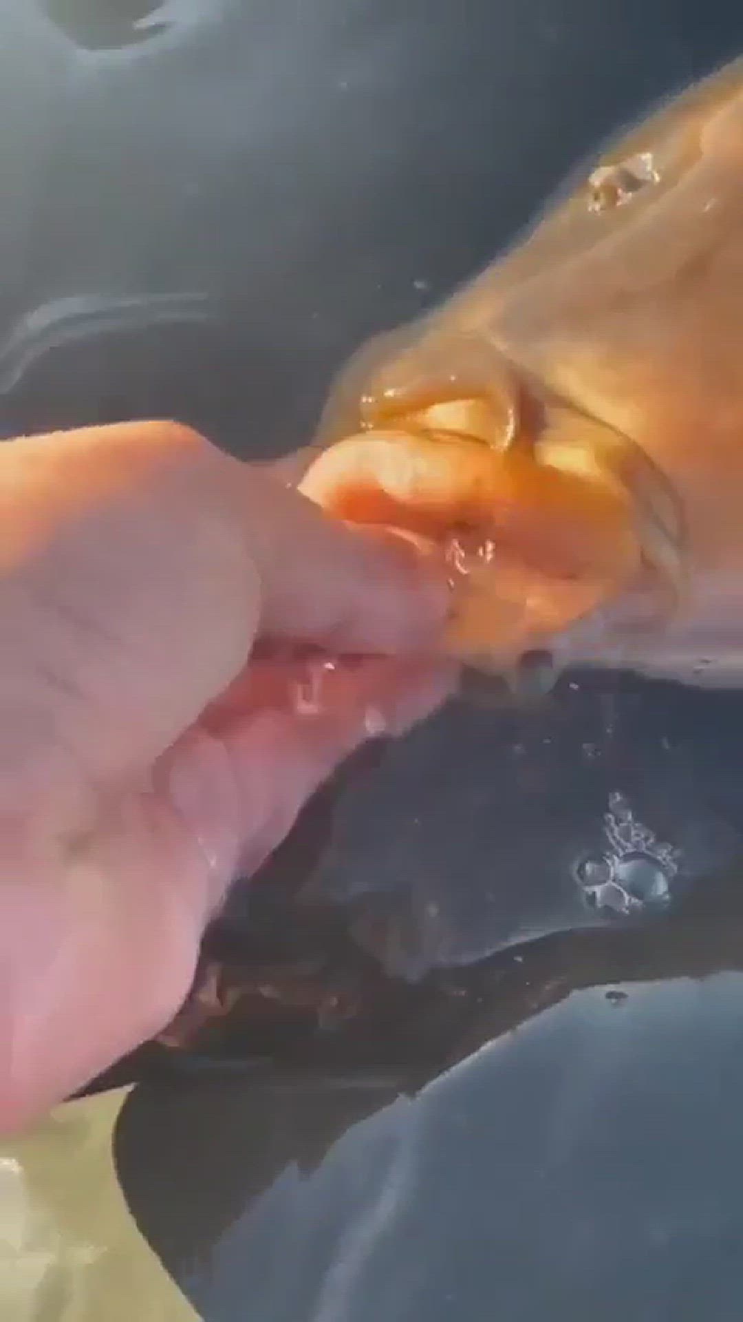 Video thumbnail for Hold up, just hear me out