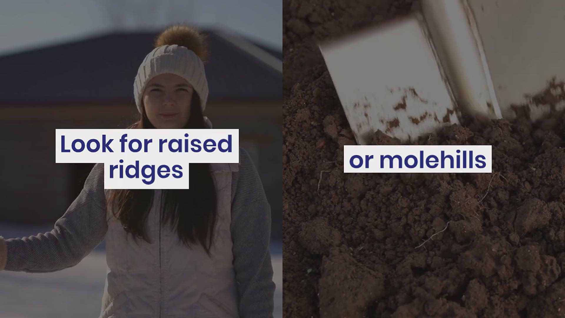 'Video thumbnail for How to Get Rid of Moles in Your Yard'