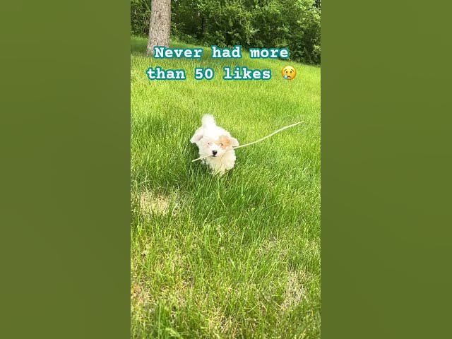 Video thumbnail for ๐ #shorts