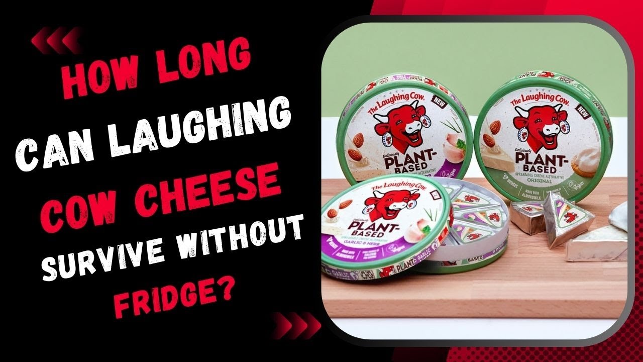 Video thumbnail for How Long Can Laughing Cow Cheese Survive Without Fridge?
