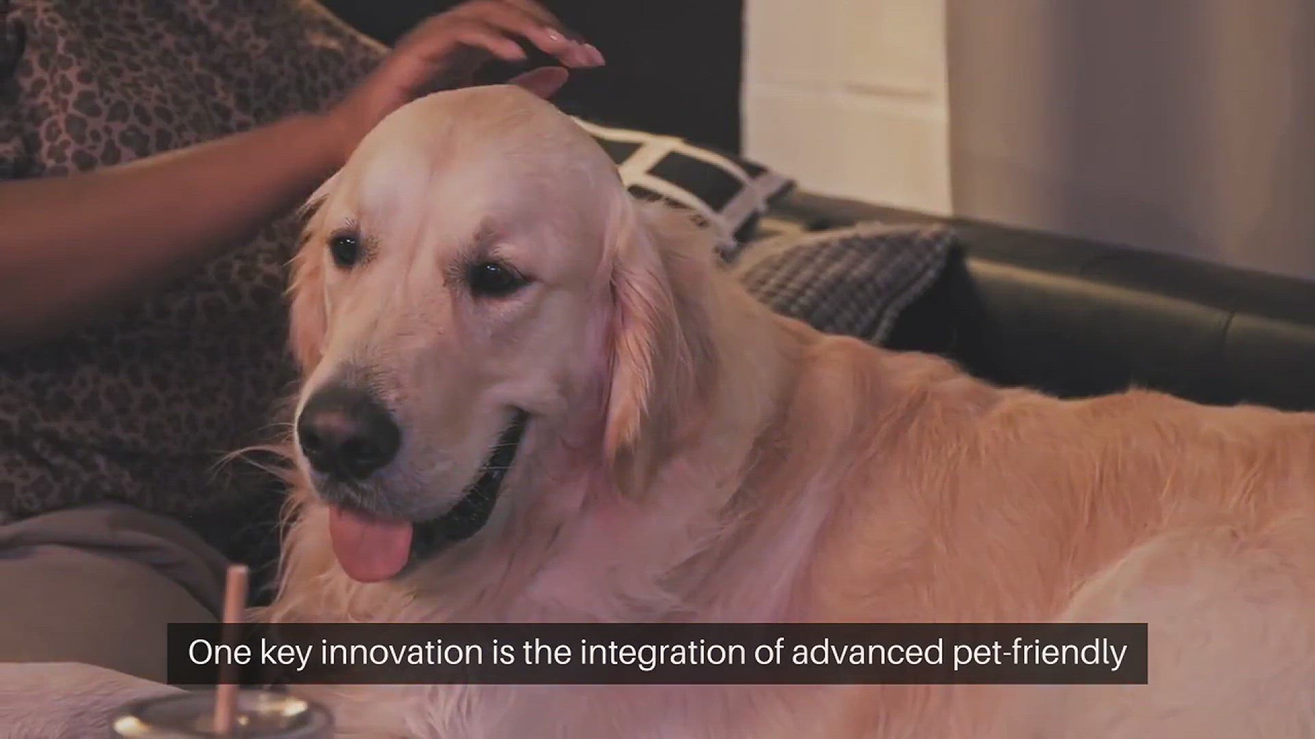 Video thumbnail for Pet Friendly Security System Innovations