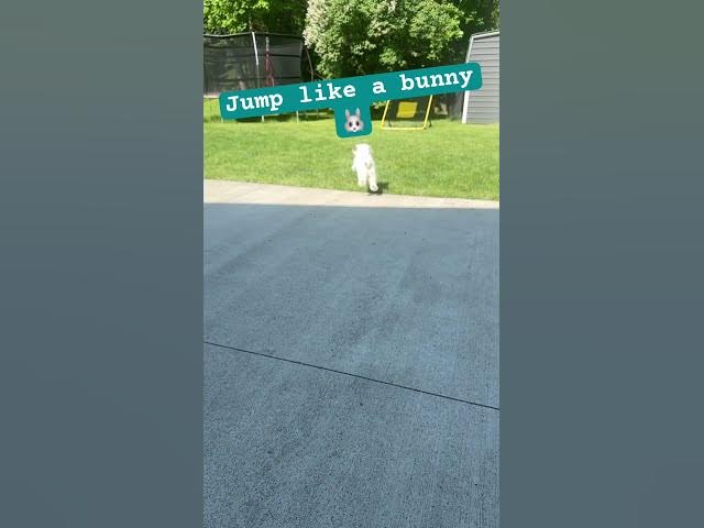 Video thumbnail for ๐ #shorts