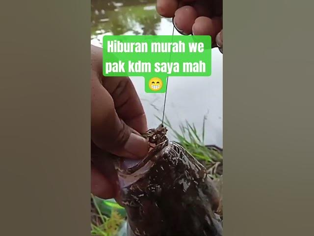 Video thumbnail for 17 September 2025