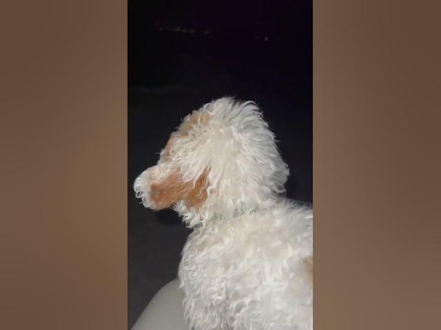 Video thumbnail for Day 8๏ธโฃ #shorts