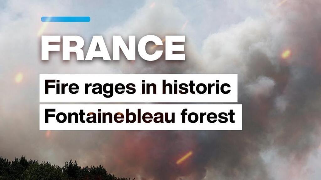 Video thumbnail for Fire in Fontainebleau: Iconic forest south of Paris engulfed in flames