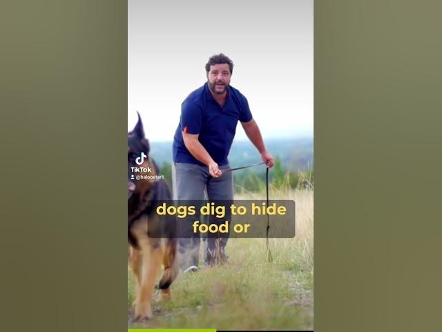 Video thumbnail for Gsd 101 2023 10 23 091637727