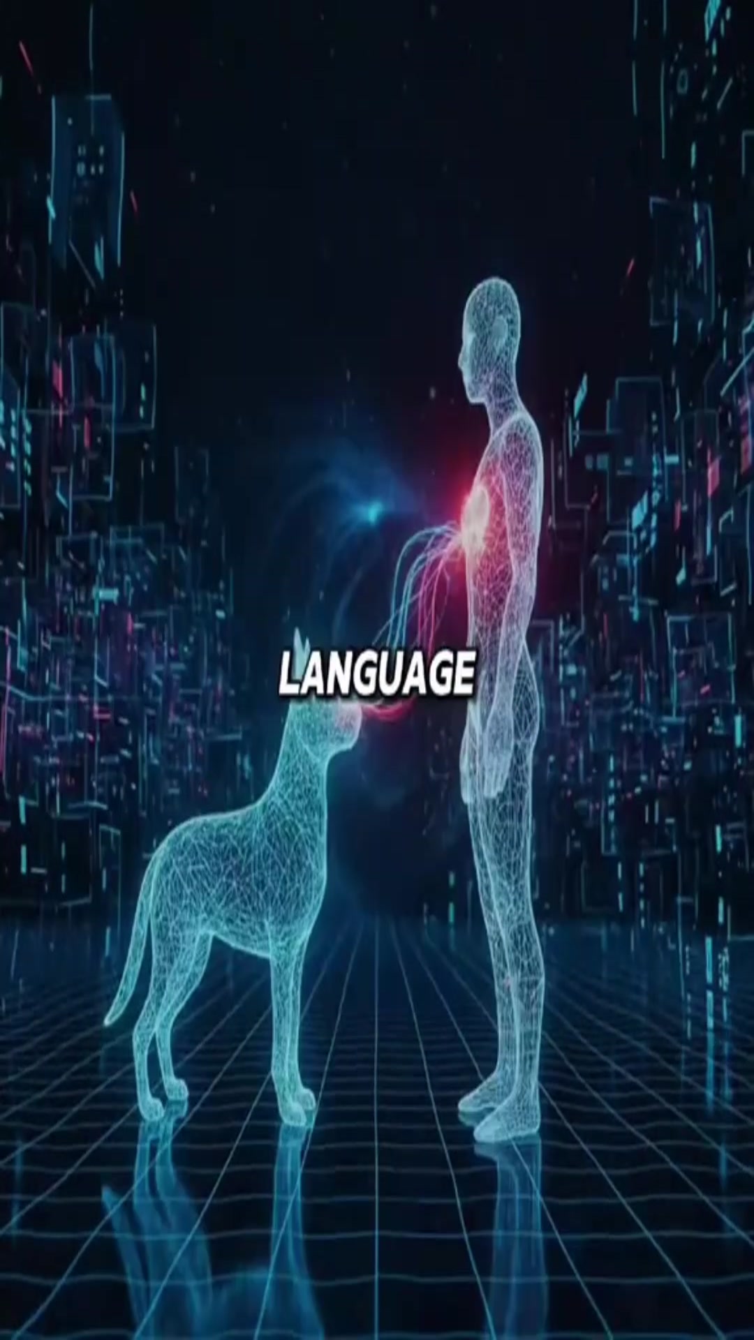 Video thumbnail for 1112 (1)(8)