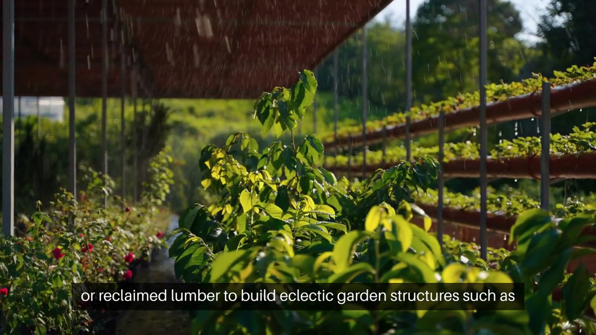 Video thumbnail for Unique Garden Structure Ideas