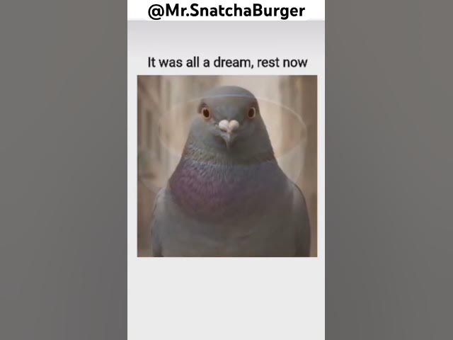 Video thumbnail for *sobs* #snatchburger