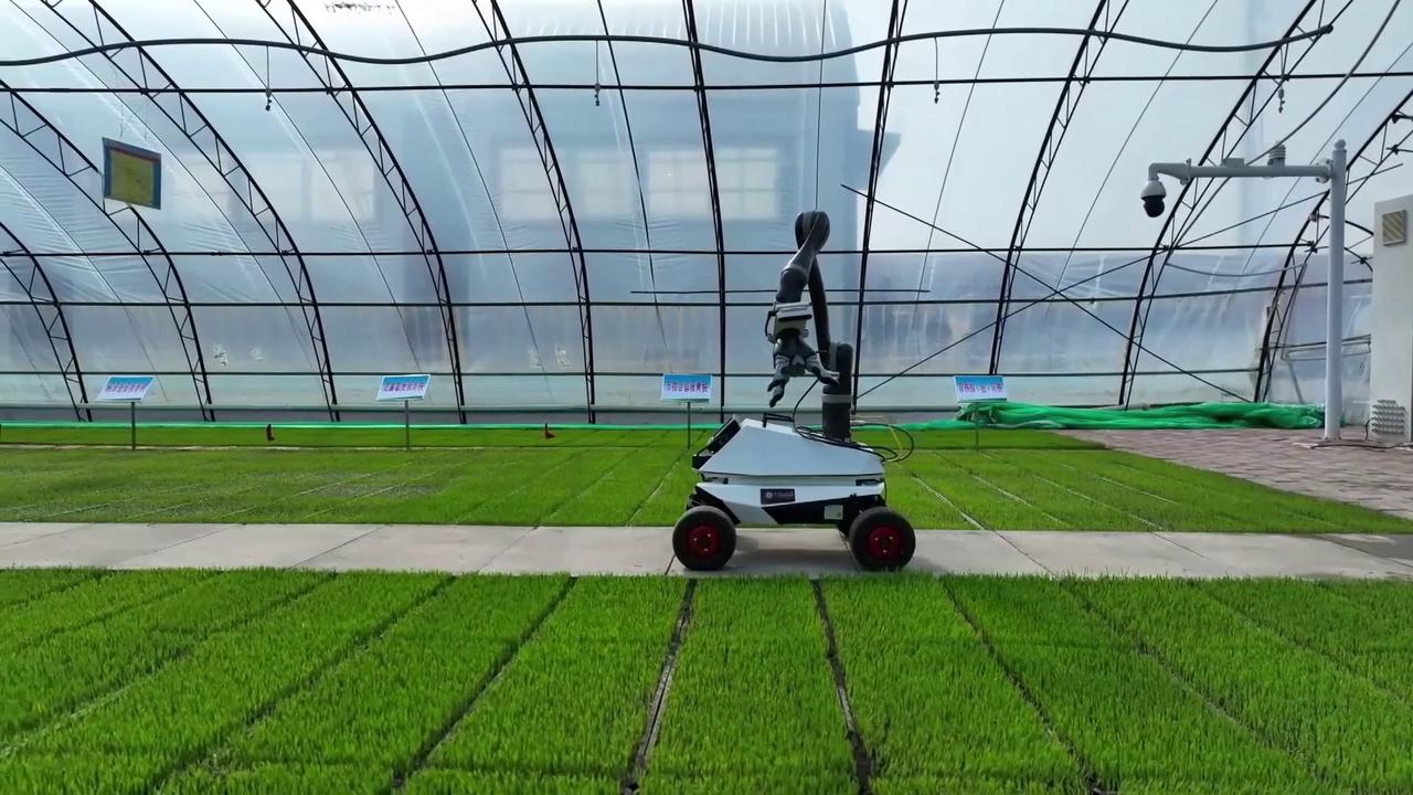 Video thumbnail for China: China's old industrial base finds new ambition in robotics.
