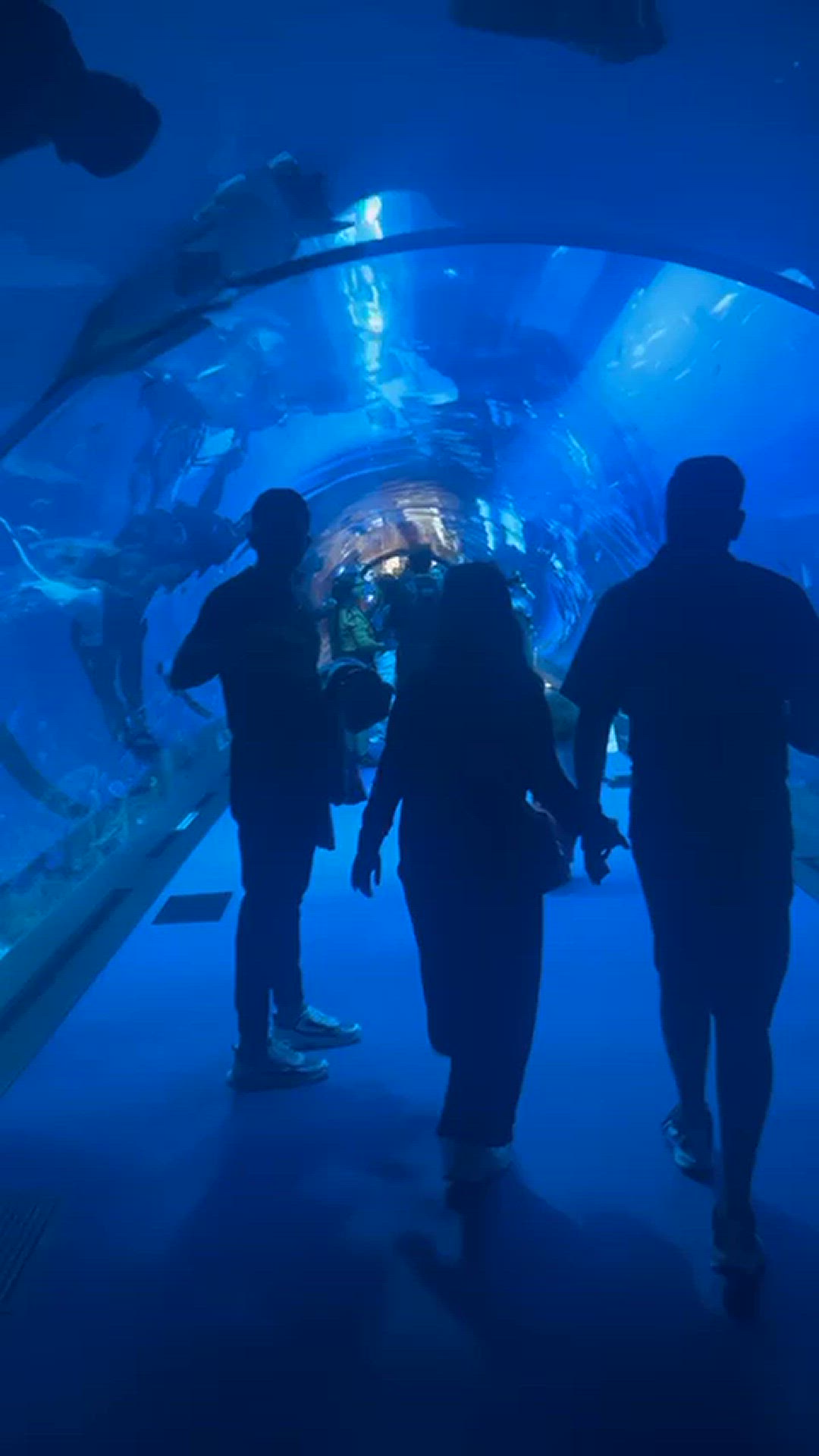 Video thumbnail for Dubai Trip