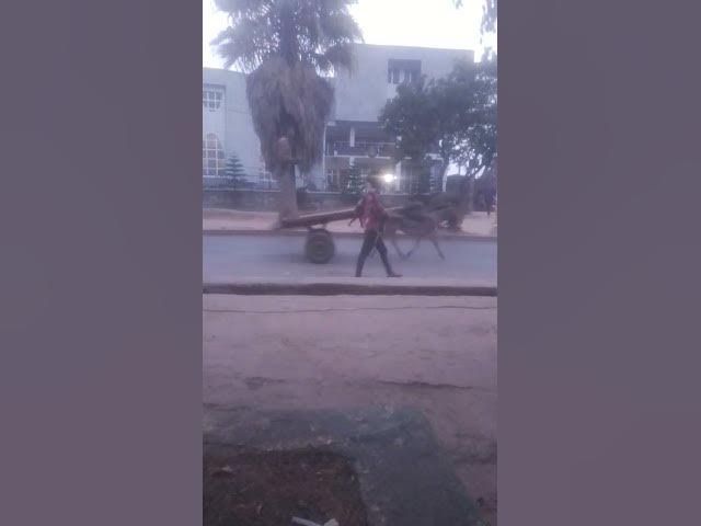 Video thumbnail for March 4, 2025