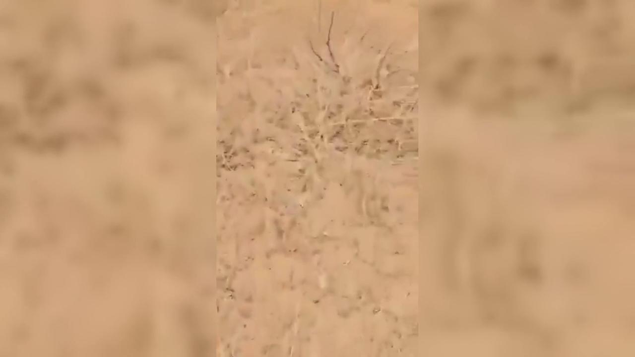 Video thumbnail for Sudan: Sudanese Army Shoots Down Hostile Drone in North Kordofan.