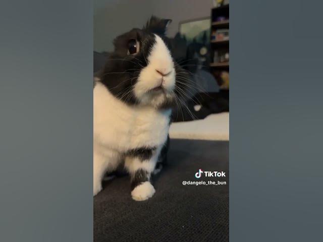 Video thumbnail for May 16, 2025