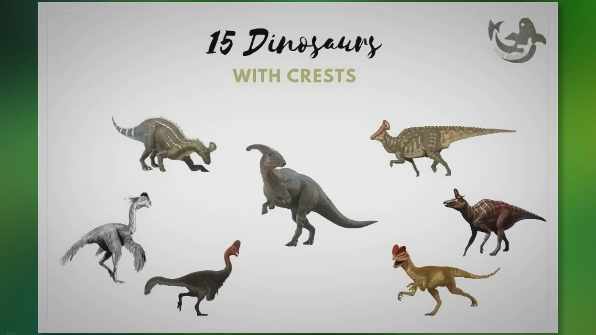 Video thumbnail for Unveiling 15 Dinosaurs Adorned with Majestic Crests