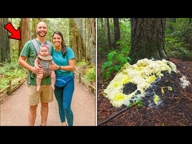 Video thumbnail for They Vanished in Redwoods, 4 Years Later Hikers Find a Strange Fungus Infestation at Tree...