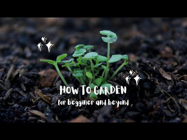Video thumbnail for Starting Your Vegetable Garden Right