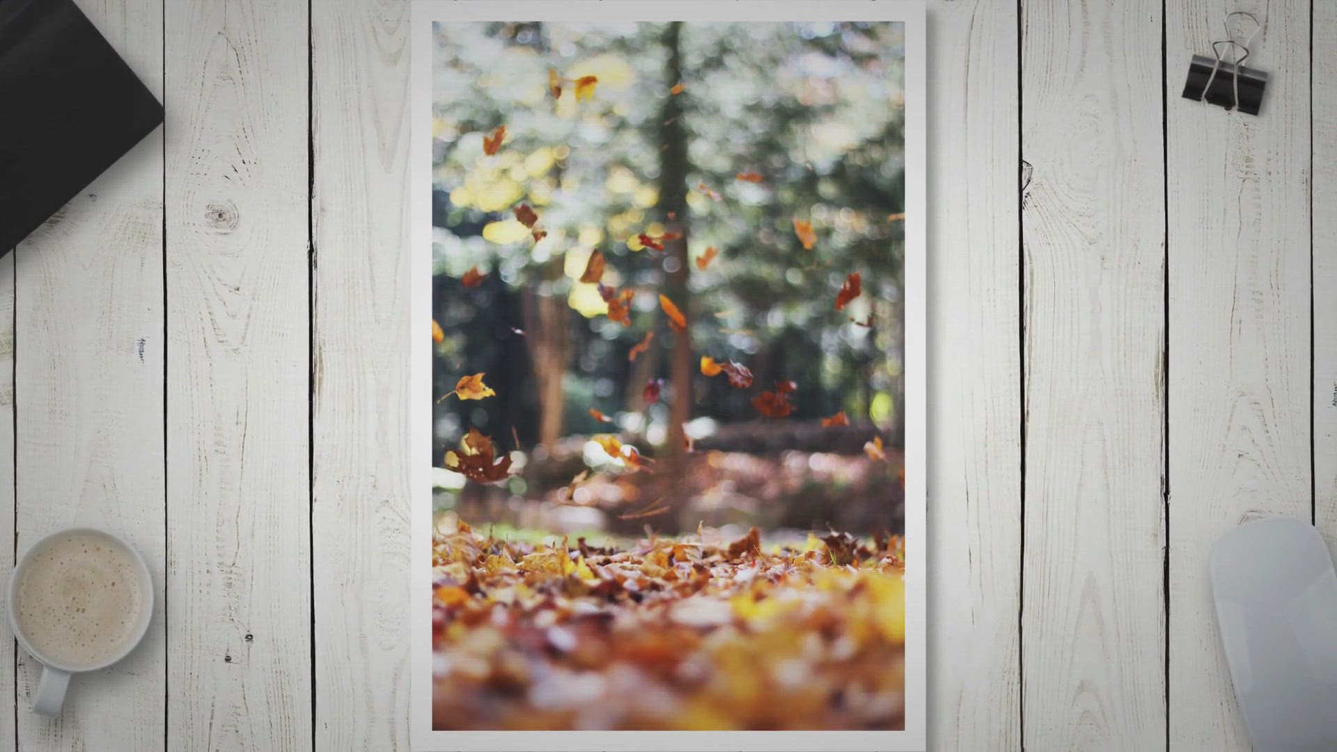 'Video thumbnail for Colorado's Kaleidoscope of Autumn: Unveiling the Best Ways to Immerse Yourself in Vibrant Fall Colors'