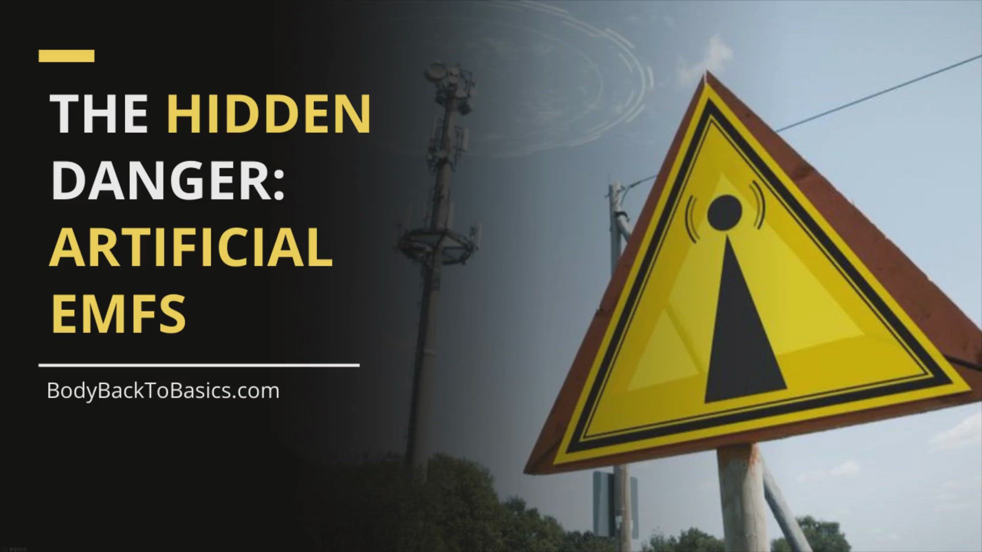'Video thumbnail for The Hidden Danger: Artificial EMFs and Cancer Risk'