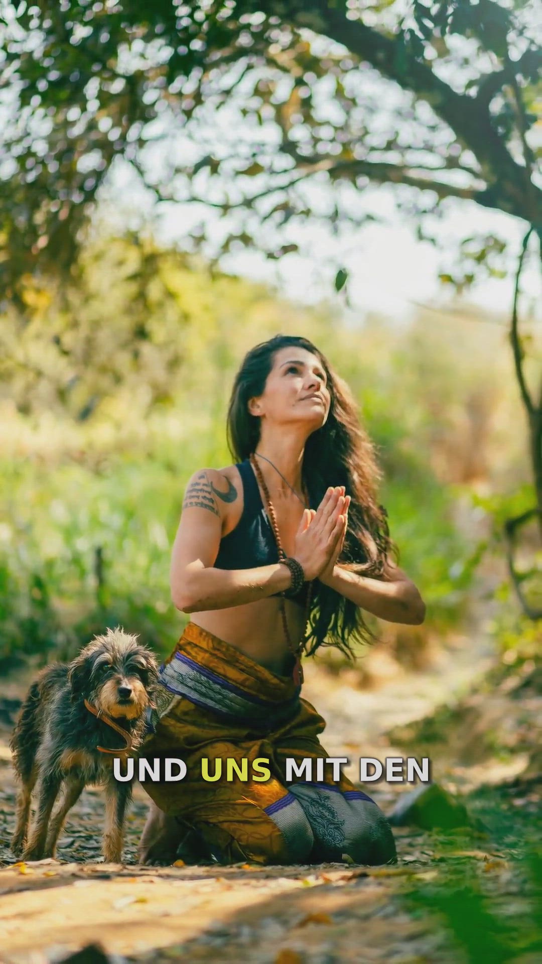 Video thumbnail for Der Natürliche Jahreskalender: Ein Spiegel der Lebenszyklen