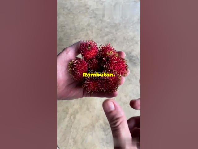 Video thumbnail for Top 4 Unique fruits