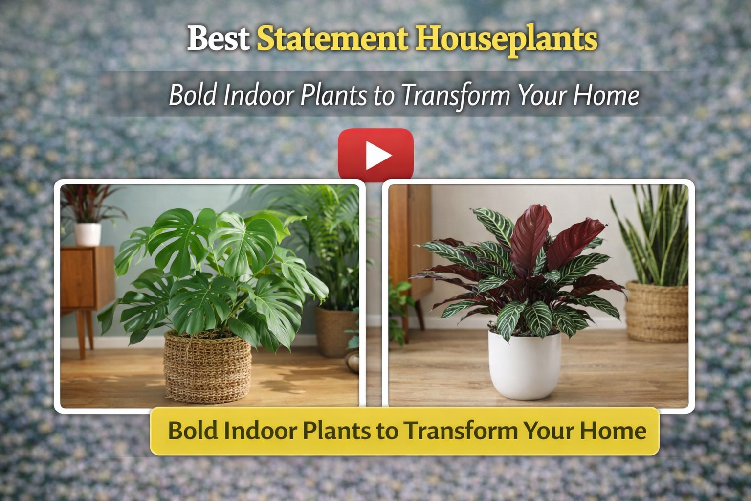 Video thumbnail for Best Statement Houseplants | Bold Indoor Plants to Transform Your Home