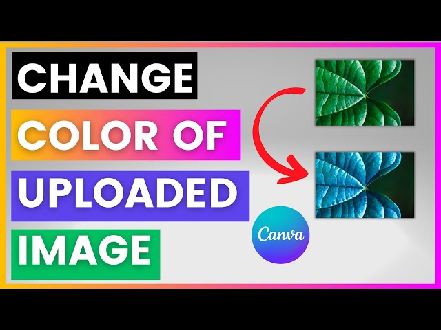 Video thumbnail for How To Change Color Of Uploaded Image In Canva [in 2025]