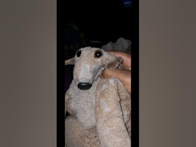 Video thumbnail for audio #funny