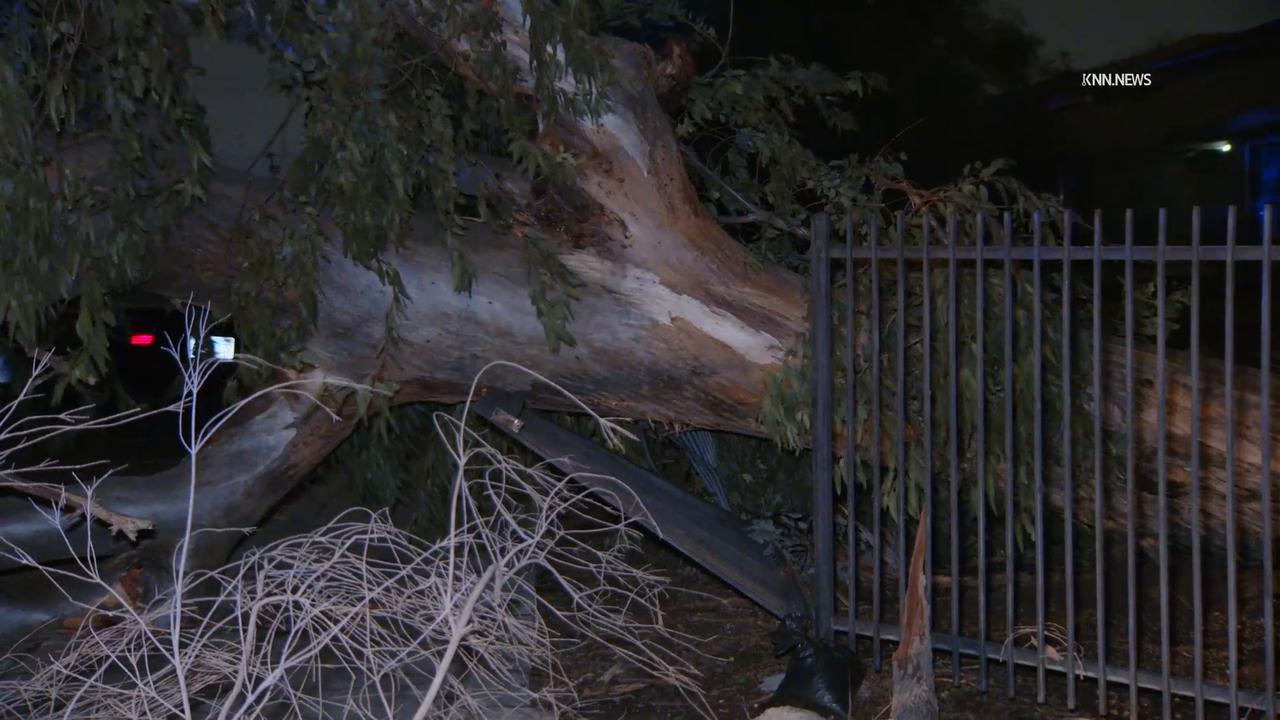 Video thumbnail for US, Phoenix: Phoenix Severe Destructive Monsoon Thunderstorm Damage.