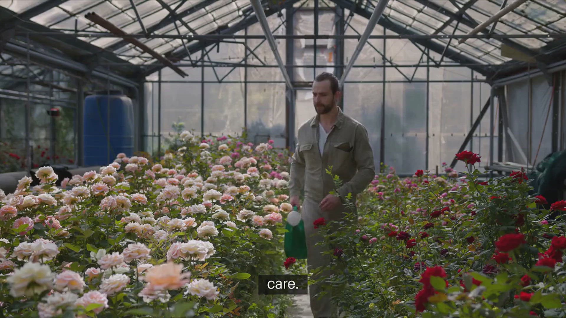 Video thumbnail for Tips for Growing Healthy Roses