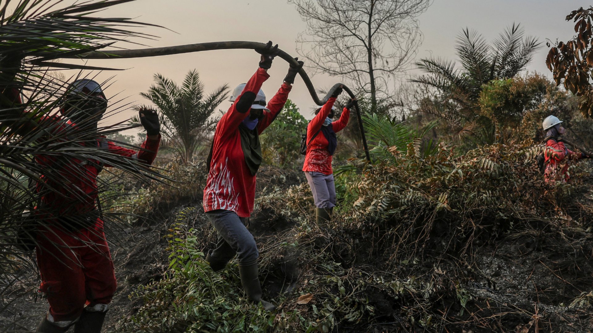 Video thumbnail for Indonesia’s blaze battlers: Volunteers fight worst wildfires in over a decade