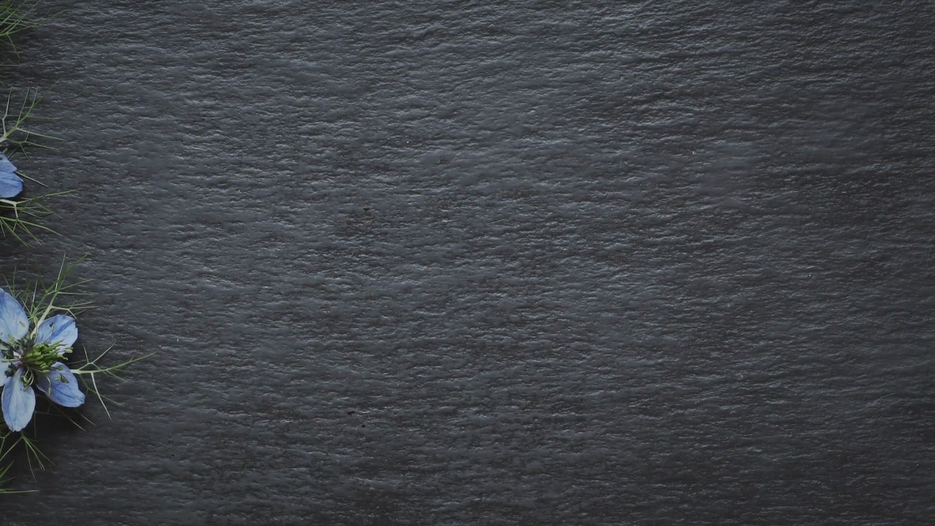 Video thumbnail for how long does a bonsai tree live