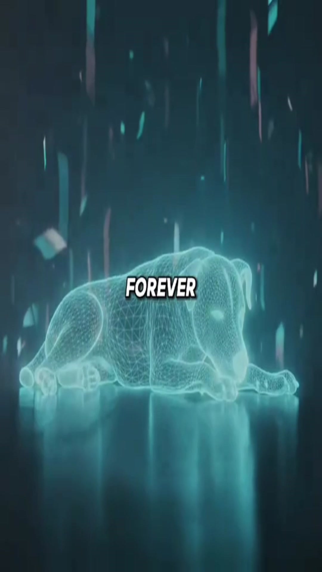 Video thumbnail for 1112 (1)(12)