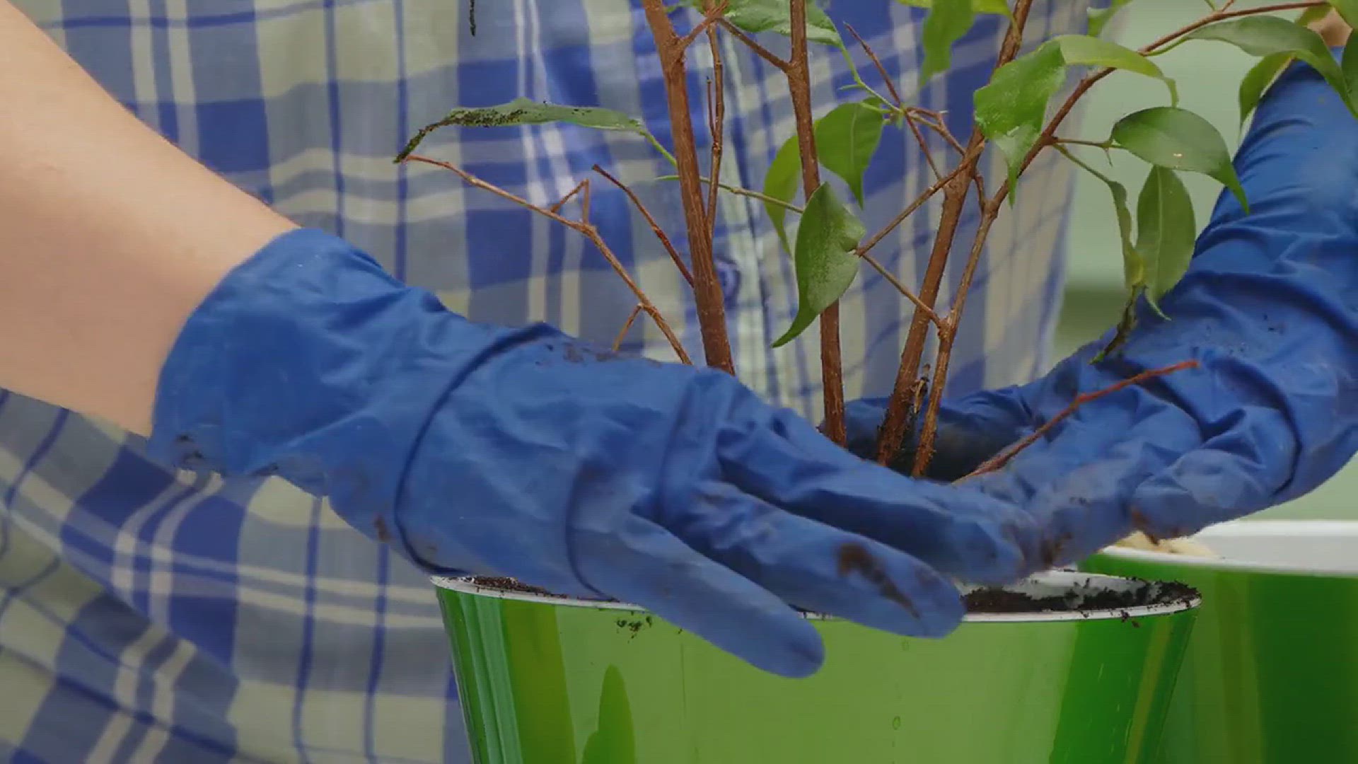'Video thumbnail for Tips on How to Make Gardening Easier'