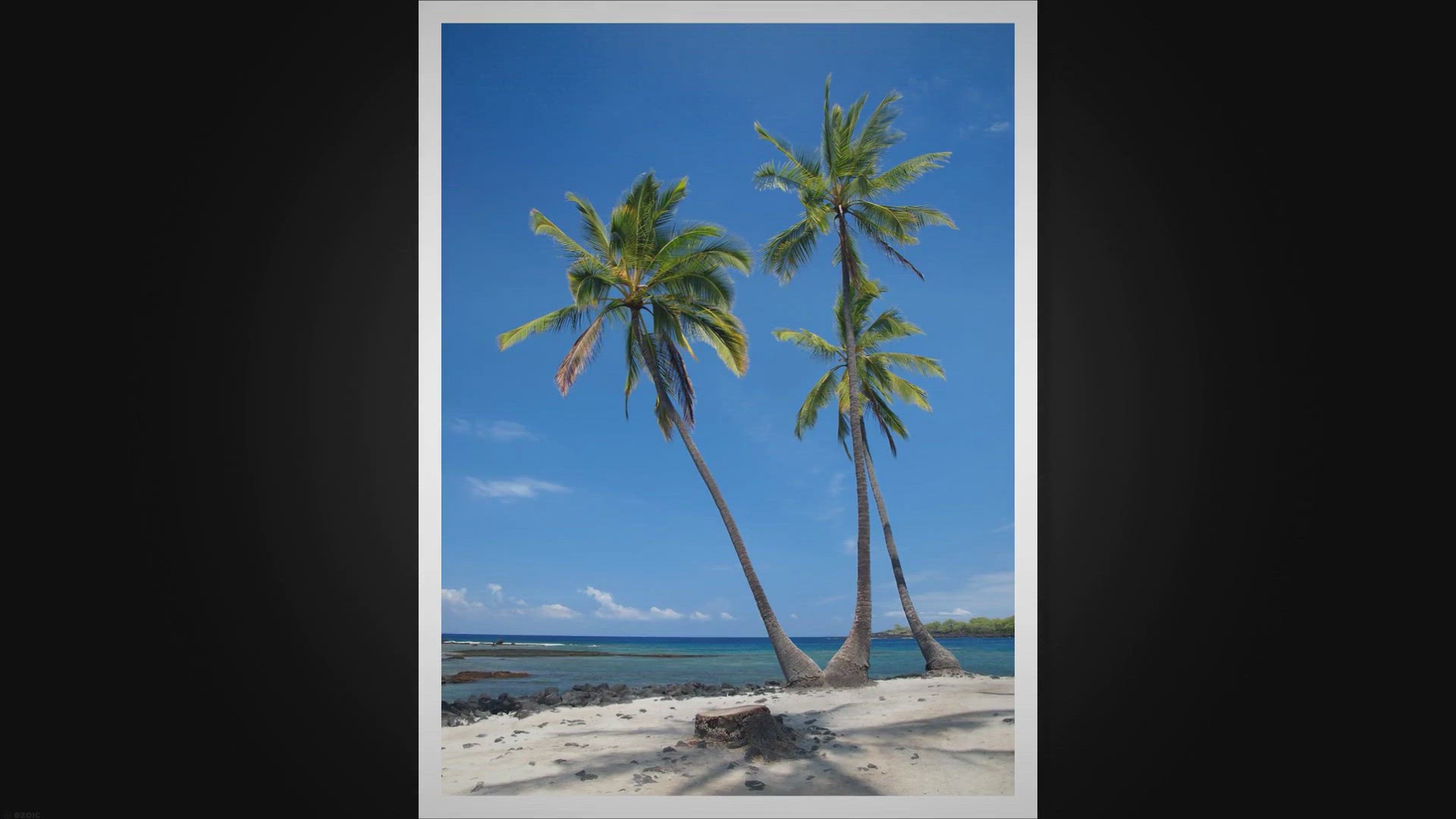 Video thumbnail for THE COURIER GUY IN GQEBERHA IS HIRING