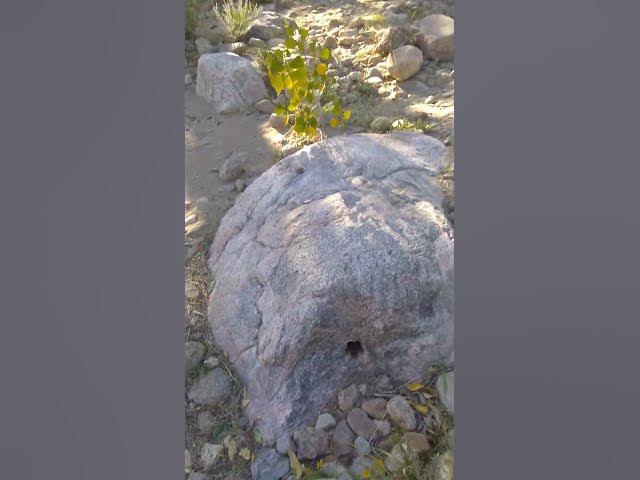 Video thumbnail for December 26, 2023