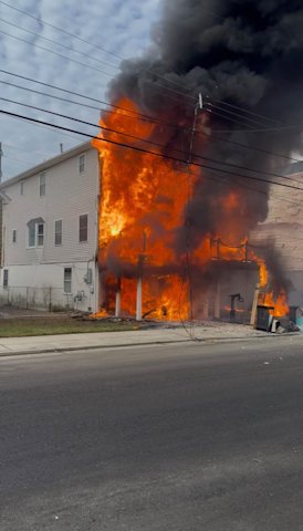 Video thumbnail for Firefighters rescue dog from house fire in Wildwood