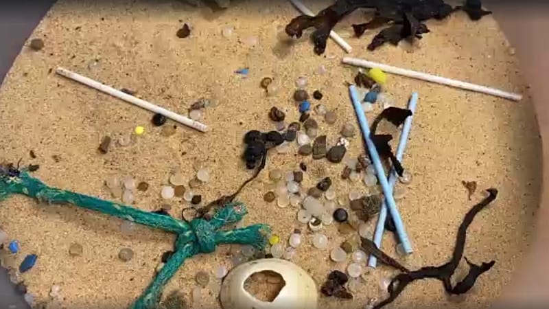 Video thumbnail for Report finds that plastic pellets called nurdles are swamping the world