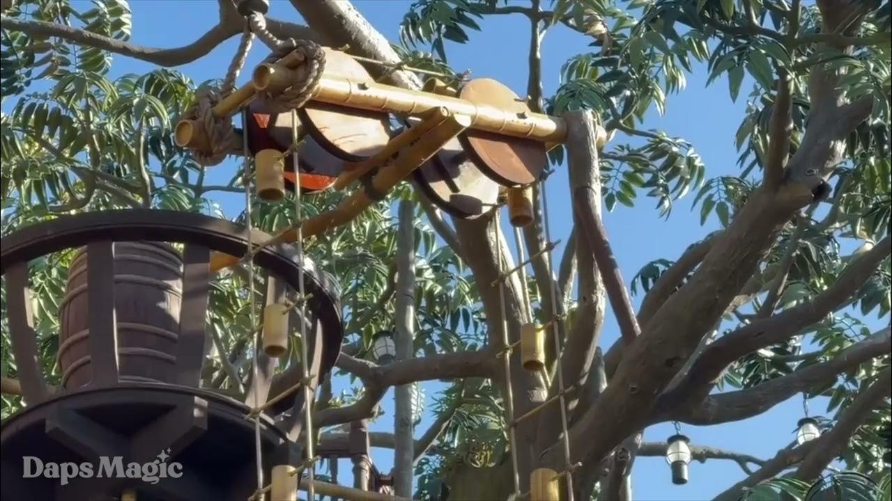 'Video thumbnail for Adventureland Treehouse Water Wheel Testing - Disneyland 2023 4K'
