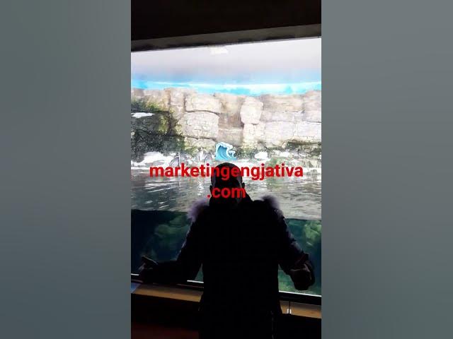 Video thumbnail for Descubre el oscuro secreto del ártico: Las ciudades de las ciencias