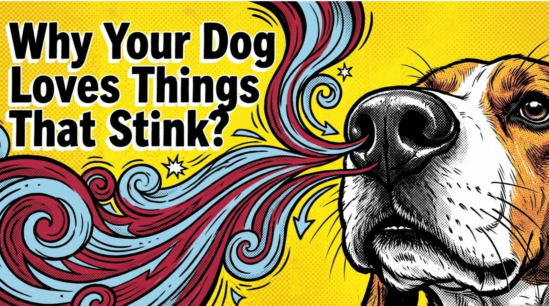 Video thumbnail for Why Do Dogs Love Stinky Things?